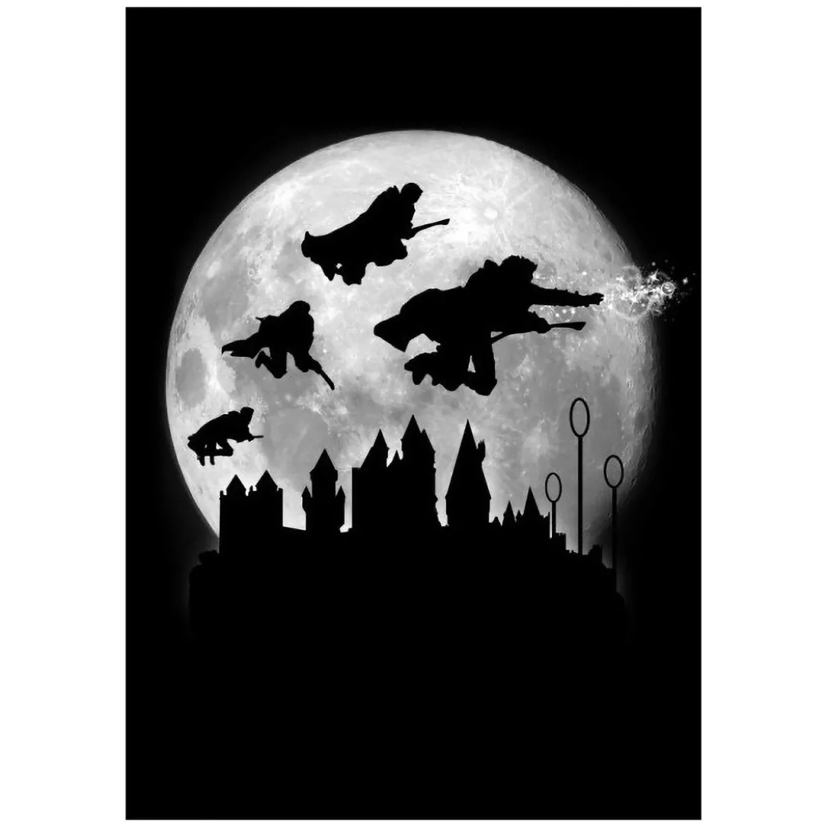 Magic Flight at Night Metall Poster für Harry Potter Fans