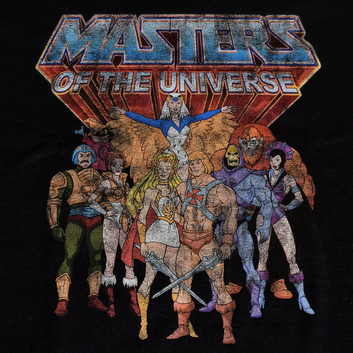 Masters of the Universe - Characters Distressed T-Shirt schwarz