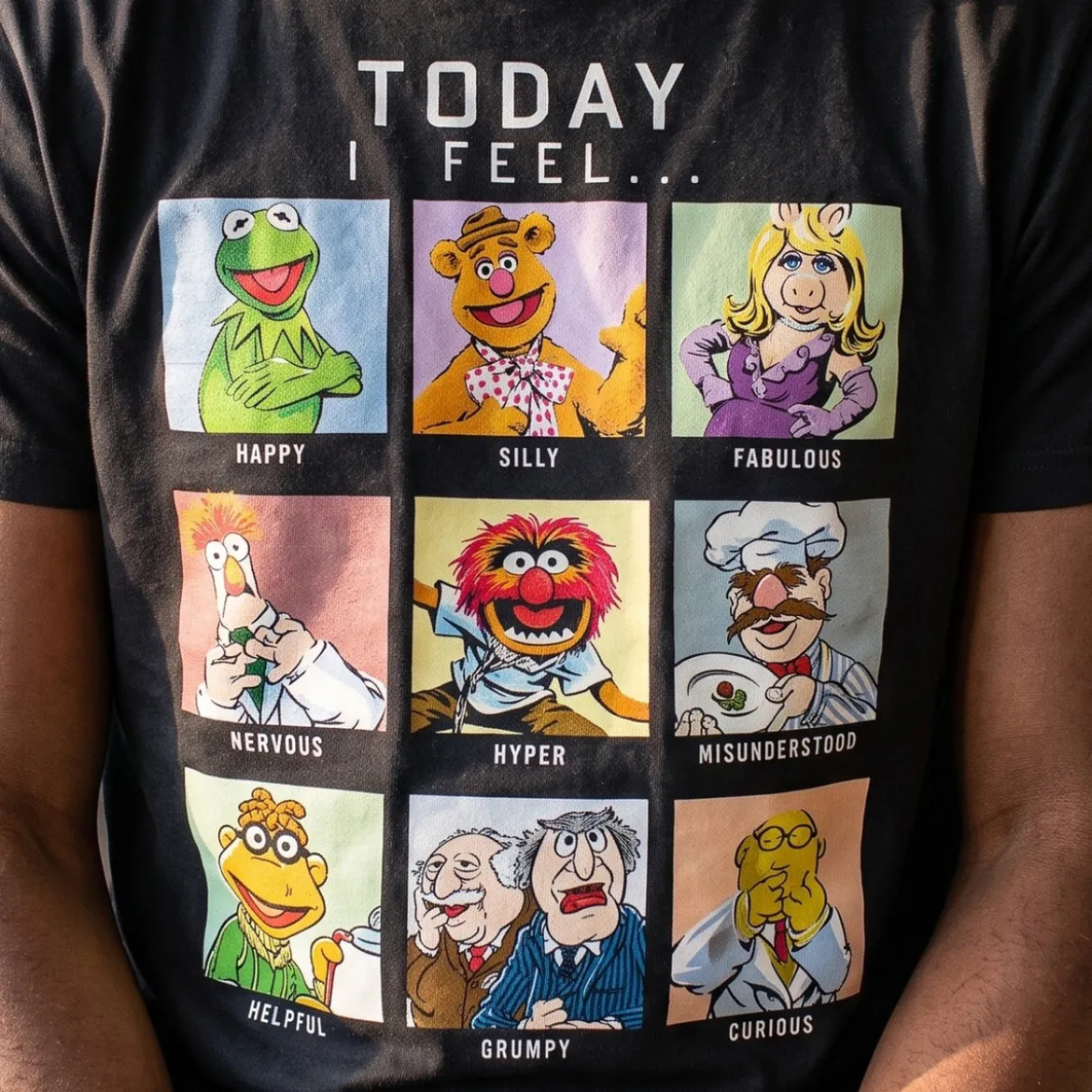 Muppets - Today I Feel T-Shirt