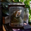 Nagini - Harry Potter Magische Tierwesen Figur