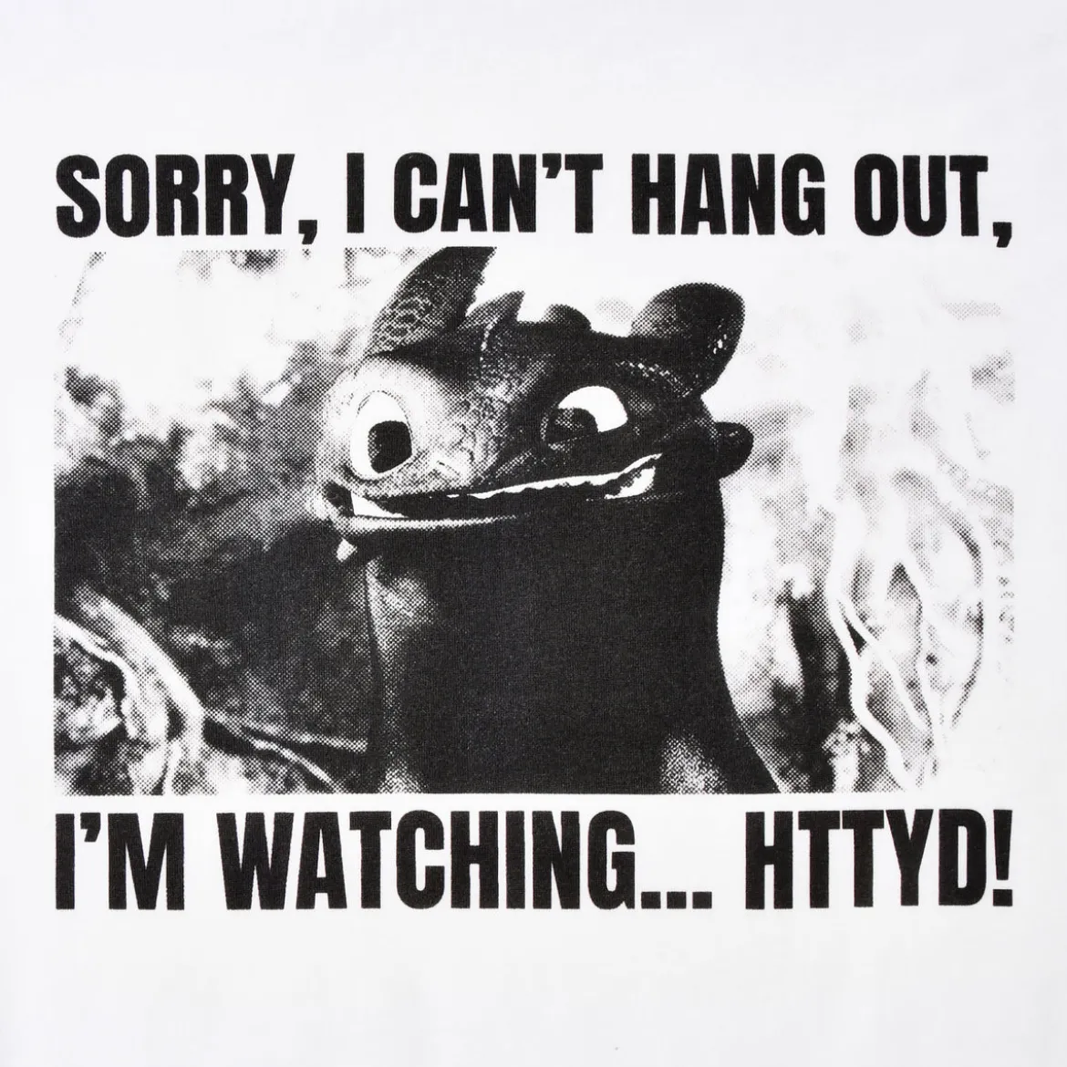 Ohnezahn Watching HTTYD T-Shirt - Drachenzähmen leicht gemacht