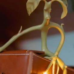 Phantastische Tierwesen - Biegbare Bowtruckle Figur 19cm