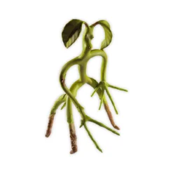 Phantastische Tierwesen - Biegbare Bowtruckle Figur 19cm