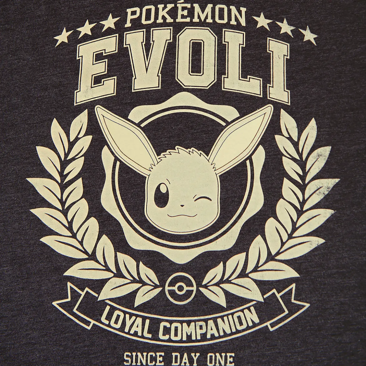 Pokemon - Evoli Loyal Companion T-Shirt grau