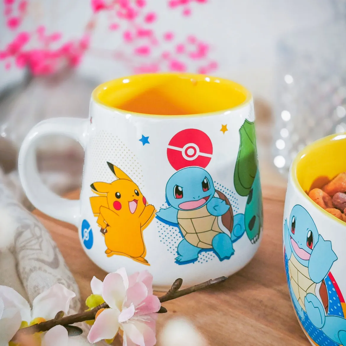 Pokemon - Starter Geschenkset
