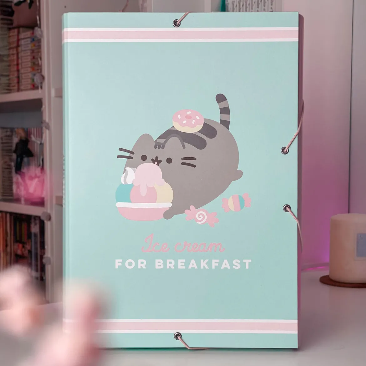Pusheen - Ice cream Dokumentenmappe