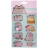 Pusheen - Magnet-Set