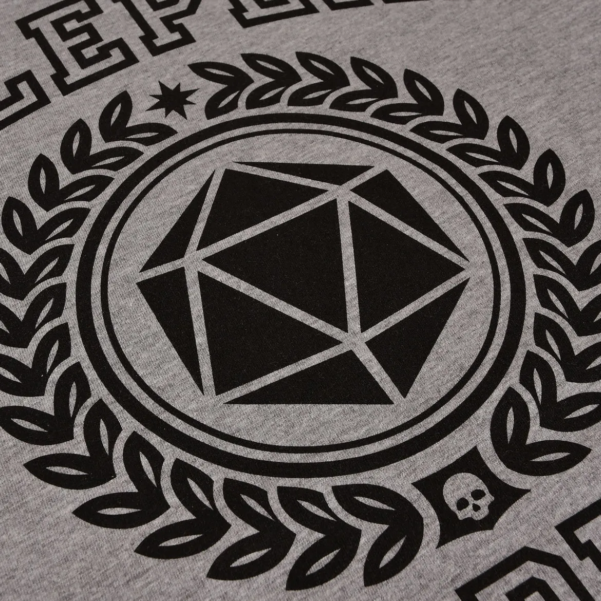 Roleplay Academy T-Shirt grau
