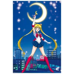 Sailor Moon - Characters Maxi Poster