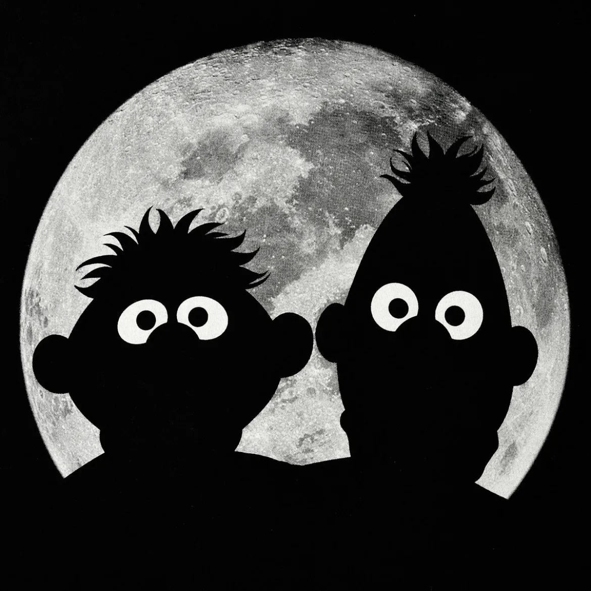 Sesamstraße - Ernie & Bert Moonnight T-Shirt schwarz