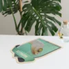 Slytherin Wappentier Puzzle in Zaubertrank-Flasche - Harry Potter