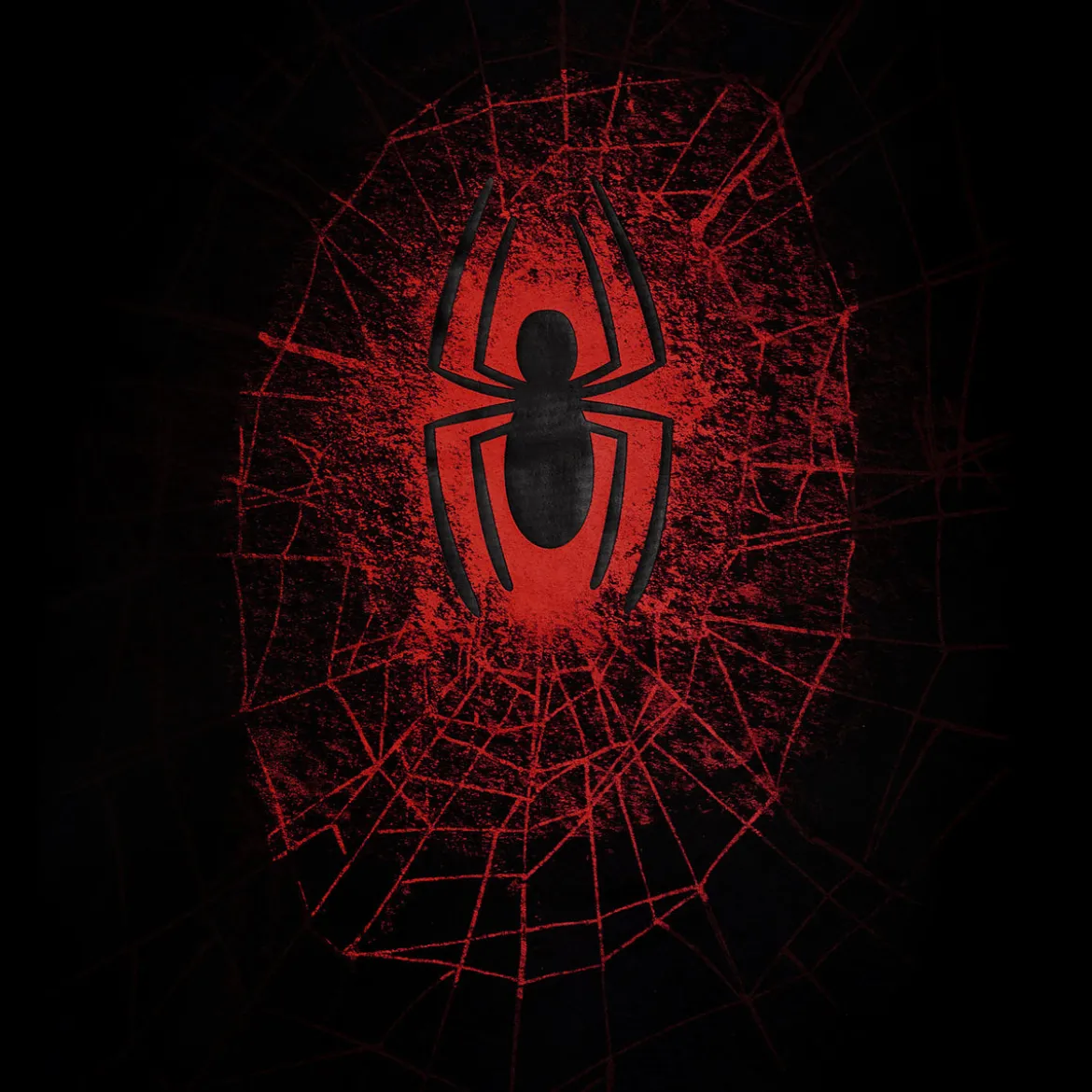 Spider-Man - Spider Web T-Shirt schwarz