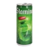 Stamina Potion Schorle Drink für Gaming Fans