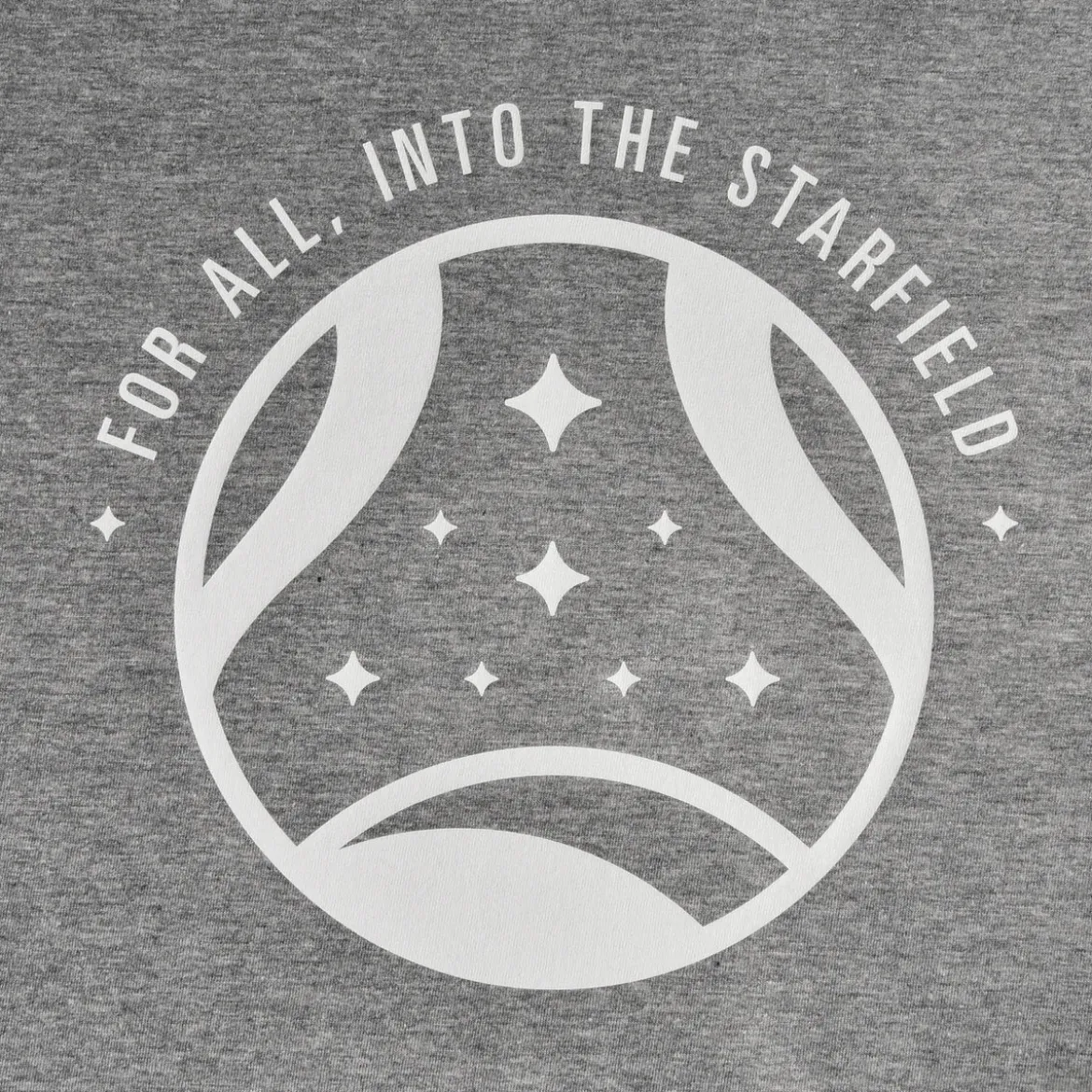 Starfield - Into The Starfield T-Shirt grau