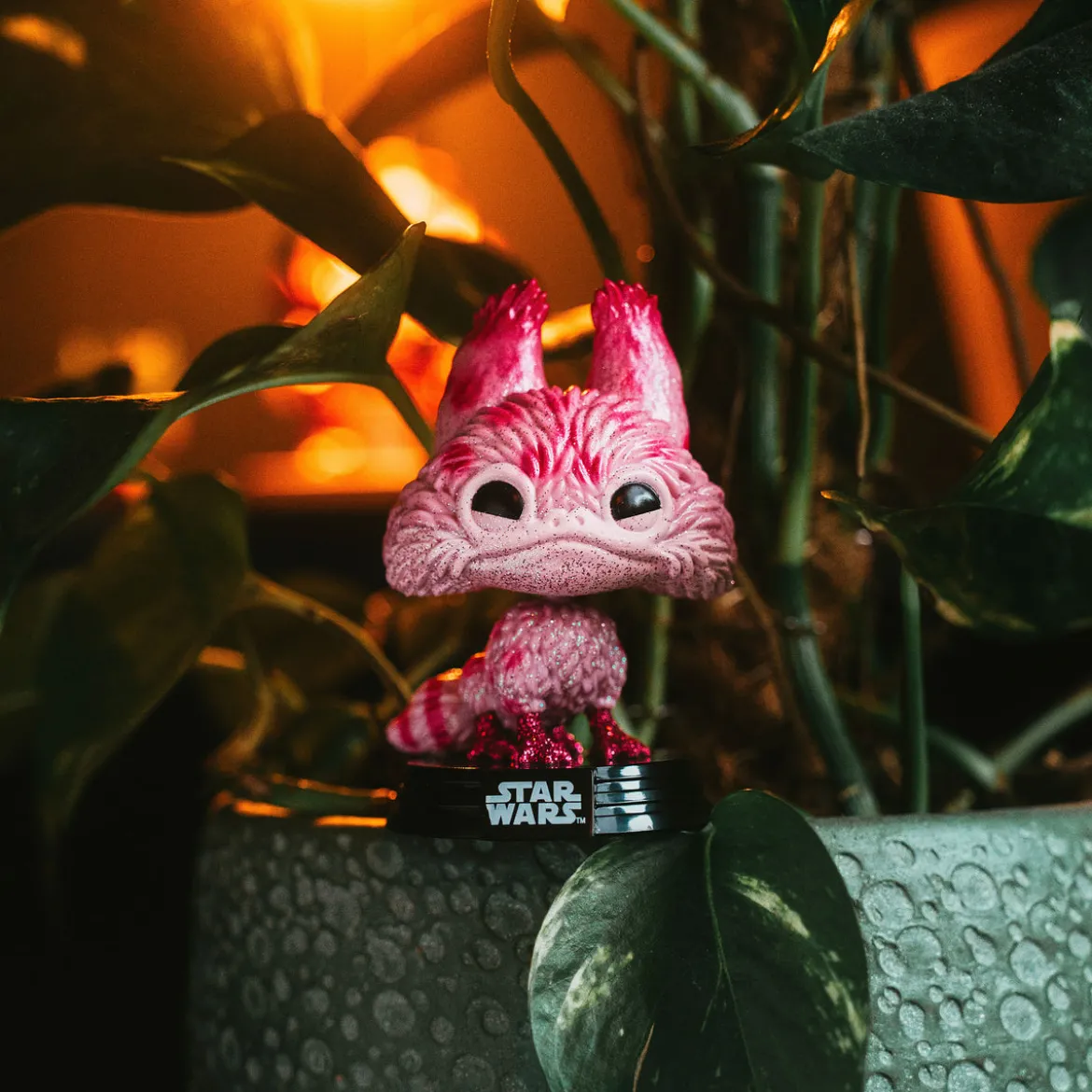 Star Wars - Loth Cat Funko Pop Wackelkopf-Figur Exklusiv Herbst-Convention 2025