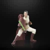 Star Wars: The Acolyte - Jedi Master Indara Black Series Actionfigur