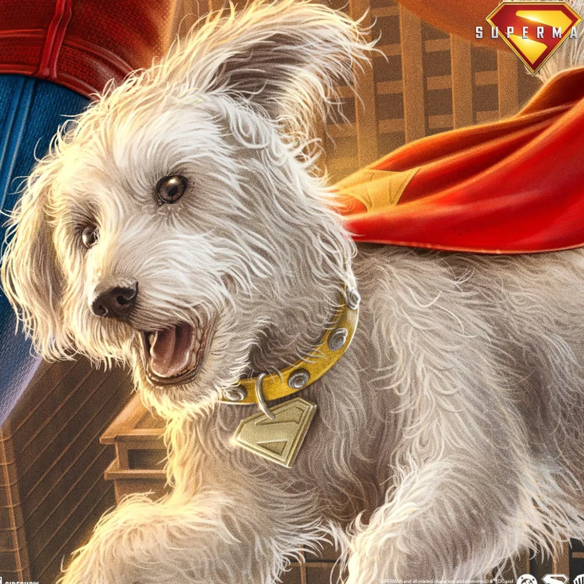 Superman (2025) DC Comics Kunstdruck Superman: A Symbol of