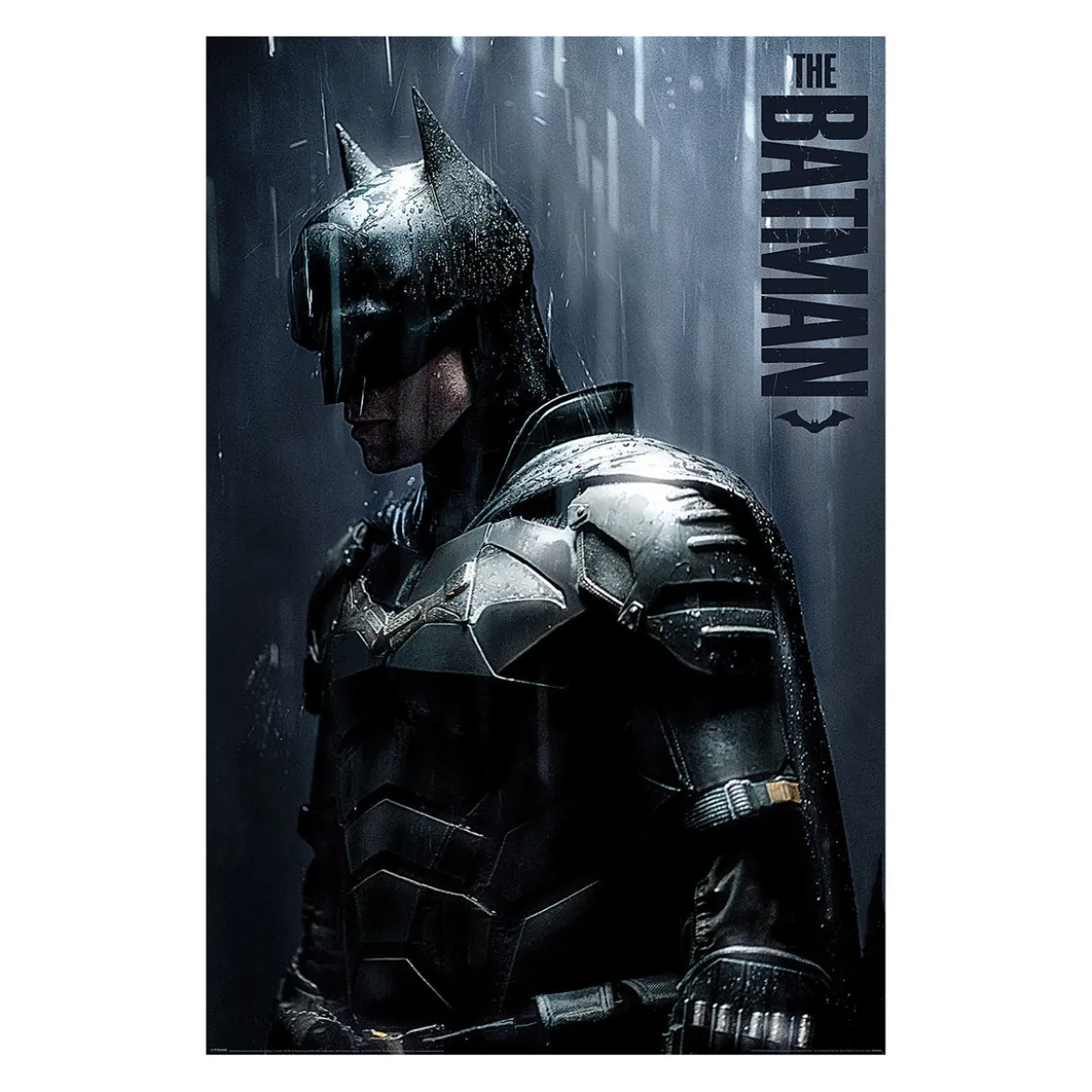 The Batman - Downpour Maxi Poster