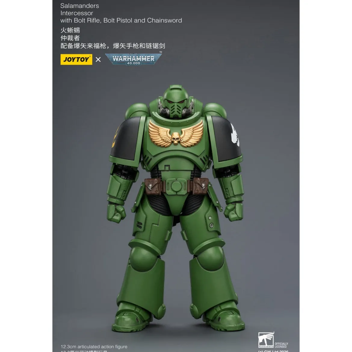 Warhammer 40,000 Actionfigur Salamanders Intercessor 12 cm
