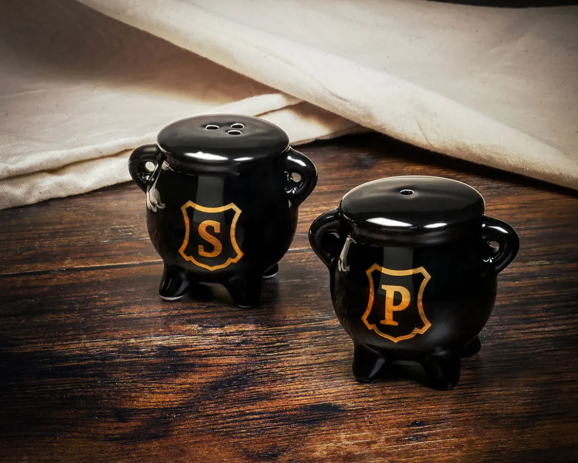 Zauberkessel Salz- und Pfefferstreuer für Harry Potter Fans