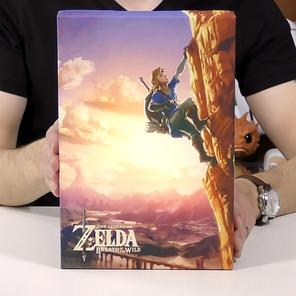 Zelda - Link Wandbild mit Licht
