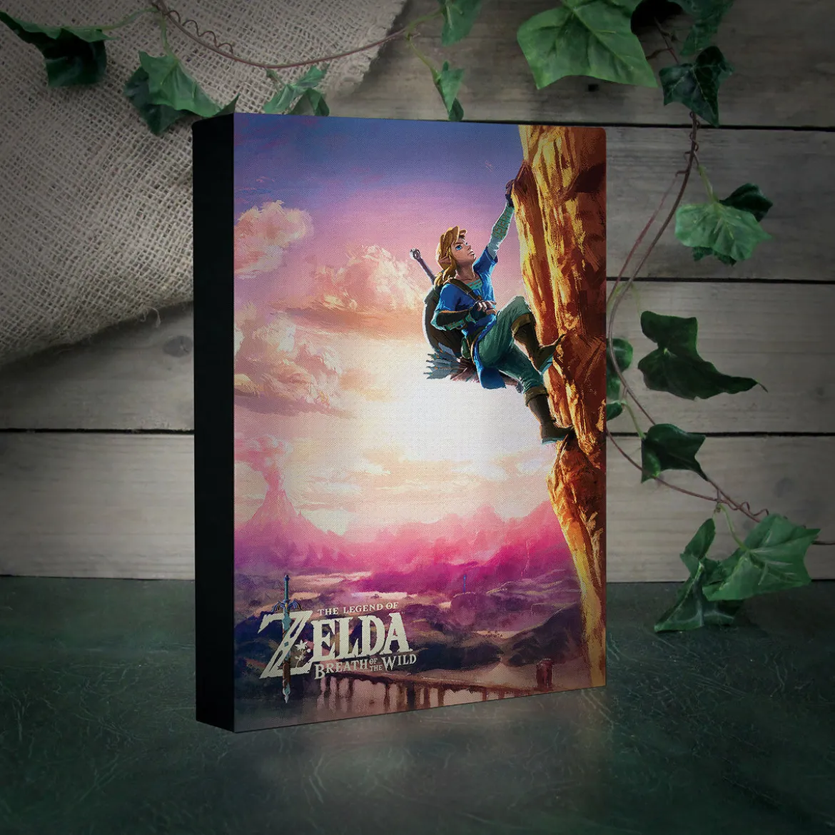 Zelda - Link Wandbild mit Licht